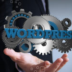 Top Wordpress Developers In Egypt
