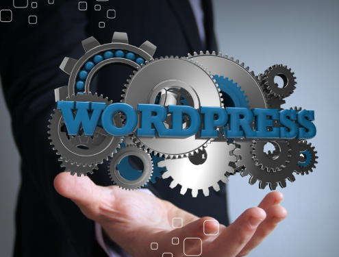 Top WordPress Developers In Egypt